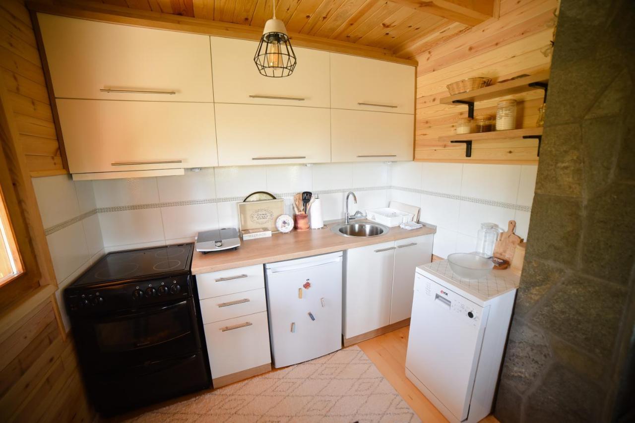 Villa Reset Zlatibor Extérieur photo
