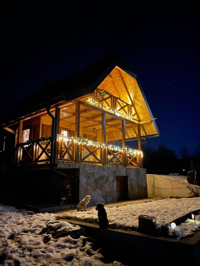 Villa Reset Zlatibor Extérieur photo